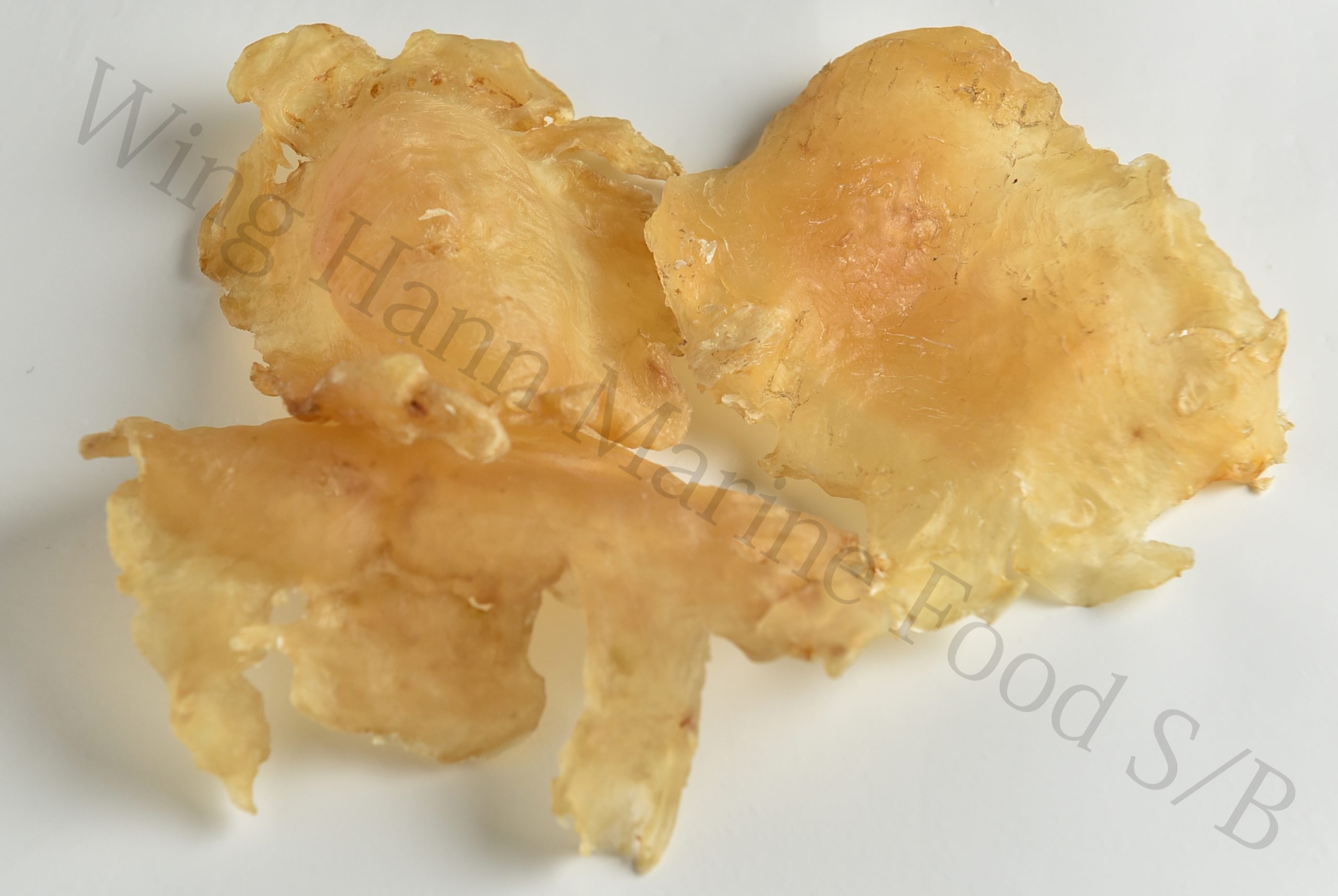 Dried New Zealand Fish Maw | Shop Online at Wing Hann